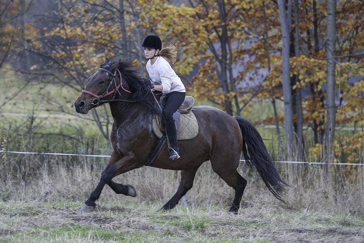Klaudia 3*